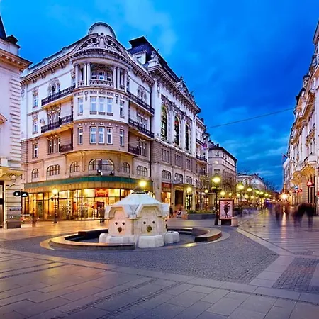 Knez
